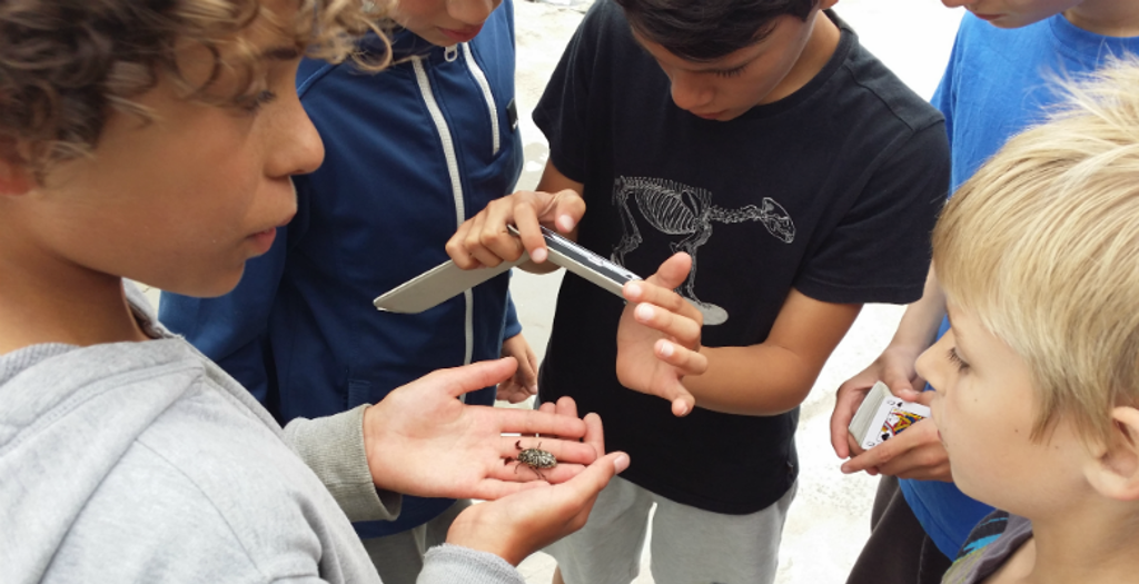 verenigingbuitenspelen_impressiefoto6.png verenigingbuitenspelen_impressiefoto6.png