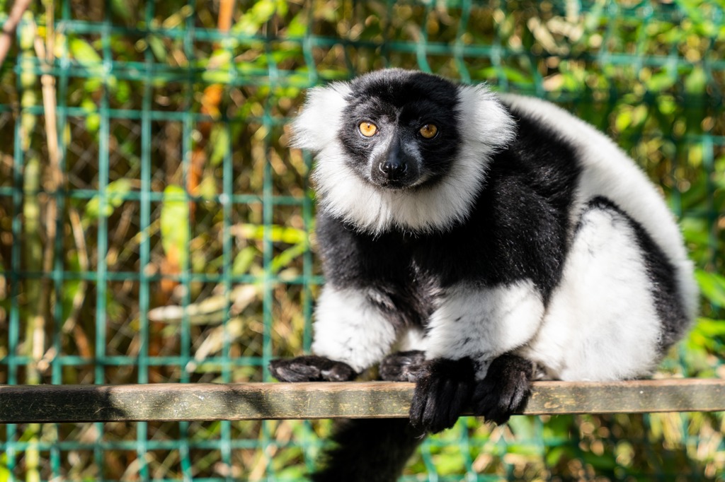 PWP SOCIAL MAART 2022 LOWRES 42 PWP SOCIAL MAART 2022 LOWRES 42