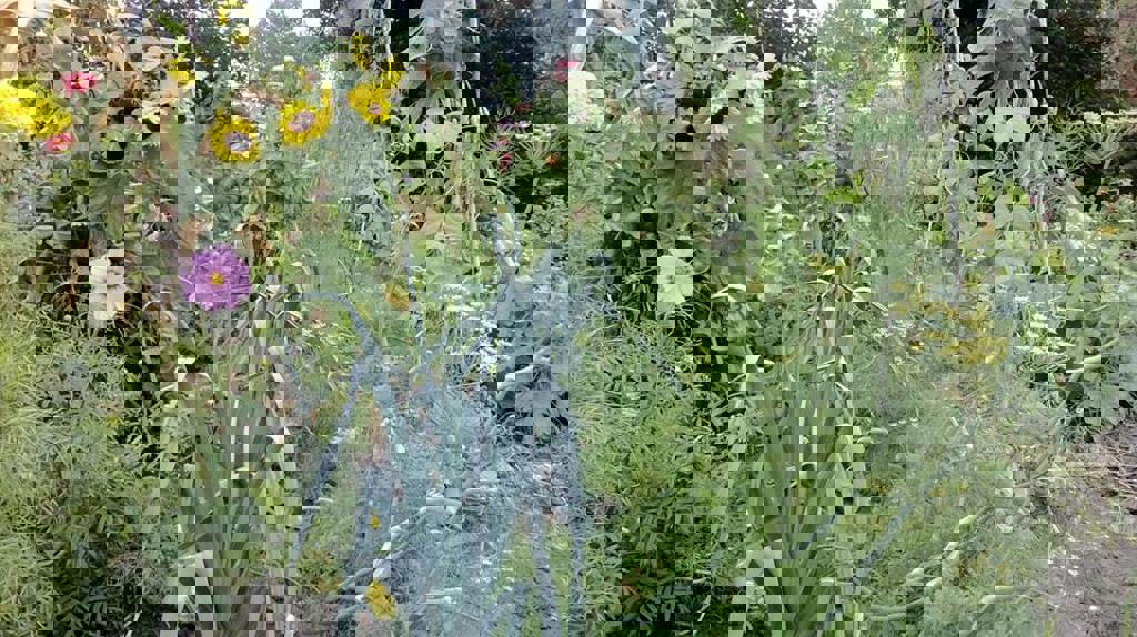 educatieve-tuin-algemeen.jpg educatieve-tuin-algemeen.jpg