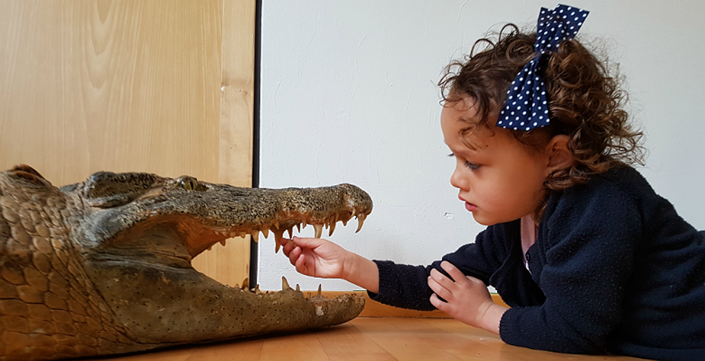 hetnatuurhistorisch_profielfoto3.png hetnatuurhistorisch_profielfoto3.png