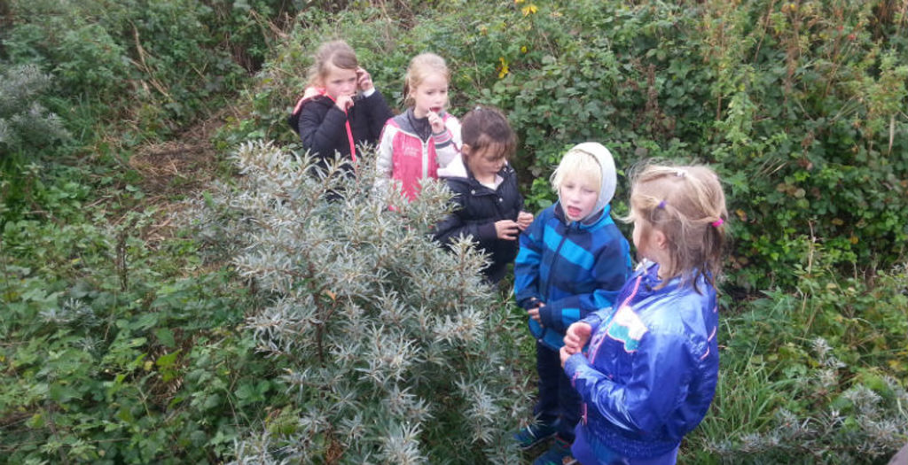 verenigingbuitenspelen_impressiefoto4.jpg verenigingbuitenspelen_impressiefoto4.jpg