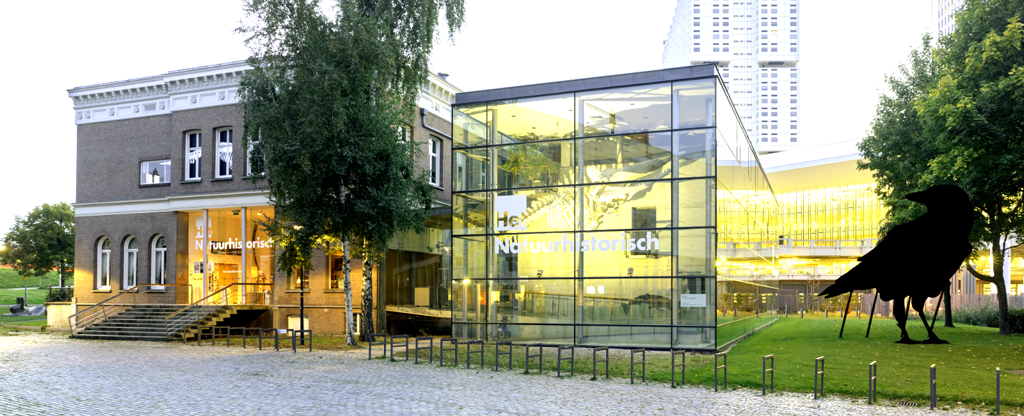 hetnatuurhistorisch_header.png hetnatuurhistorisch_header.png