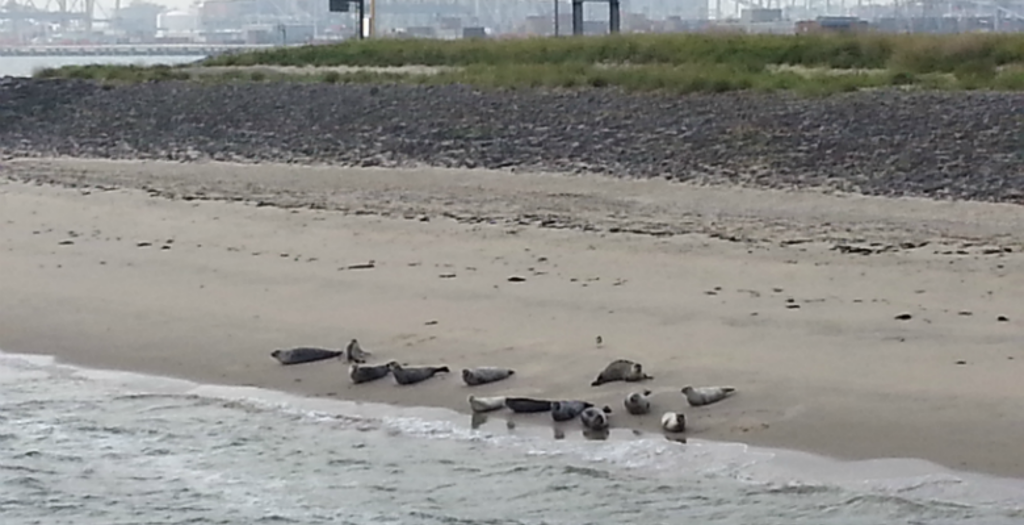 verenigingbuitenspelen_impressiefoto3.png verenigingbuitenspelen_impressiefoto3.png