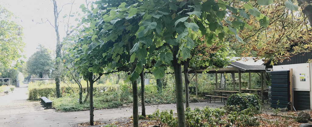 scottstraat_header.png scottstraat_header.png