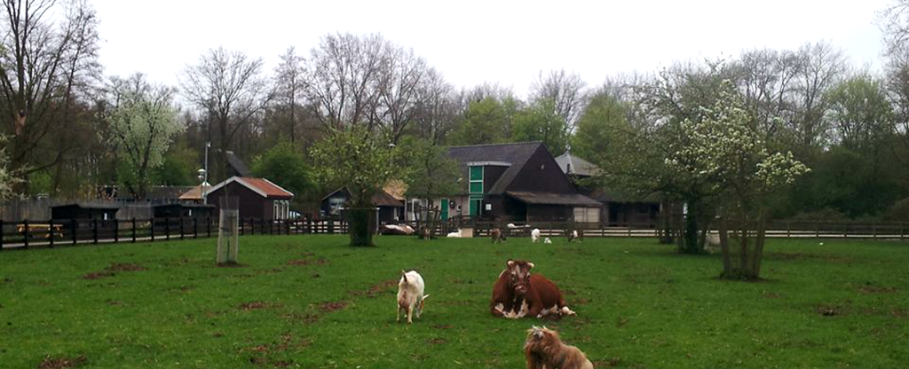 kinderboerderij-de-kooi_header.png kinderboerderij-de-kooi_header.png