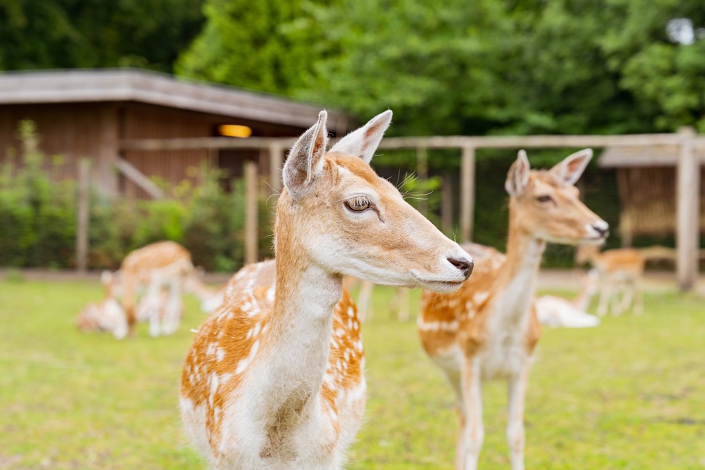 PWP SOCIAL JULI 2022 33 PWP SOCIAL JULI 2022 33