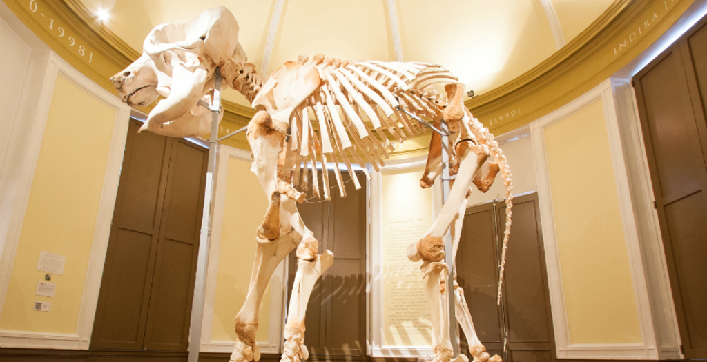 hetnatuurhistorisch_profielfoto1.png hetnatuurhistorisch_profielfoto1.png